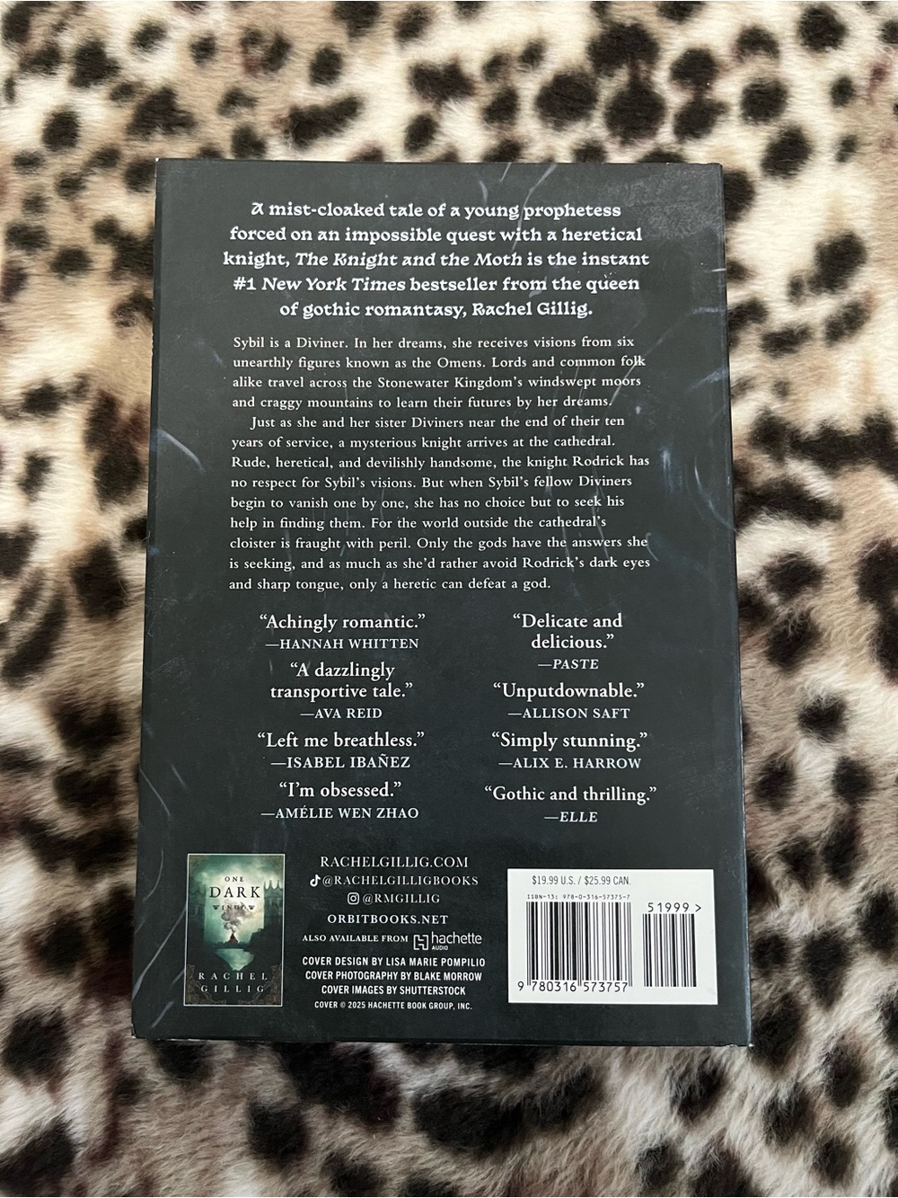 The Knight and The Moth (romantasy genre) - Picture 3 of 8